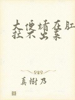 大便堵在肛门口拉不出来