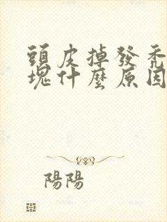 头皮掉发秃一小块什么原因