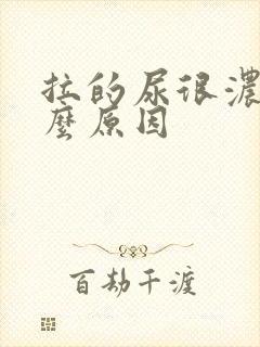 拉的尿很浓是什么原因