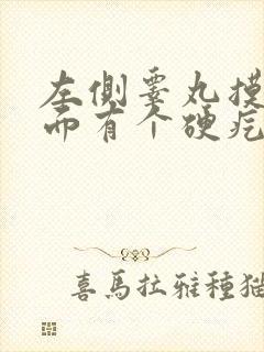 左侧睾丸摸着里面有个硬疙瘩