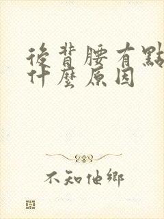 后背腰有点疼是什么原因