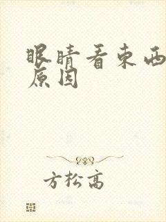 眼睛看东西模糊原因