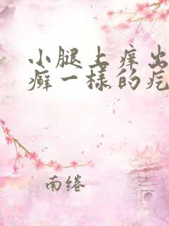 小腿上痒出的像癣一样的疙瘩