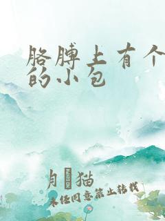 胳膊上有个红色的小包