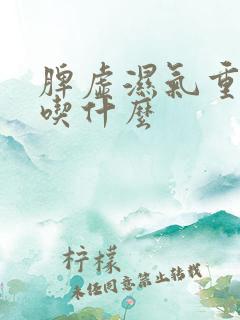 脾虚湿气重痰湿吃什么