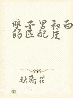 双子男和白羊女的匹配度