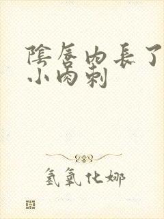 阴唇内长了好多小肉刺