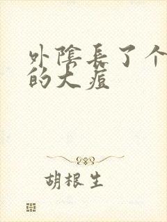 外阴长了个硬硬的大痘