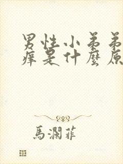 男性小弟弟官会痒是什么原因