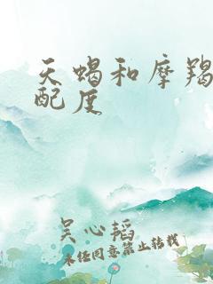 天蝎和摩羯的匹配度