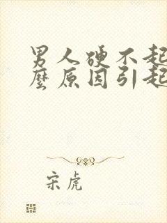 男人硬不起来什么原因引起的