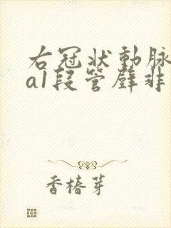 右冠状动脉rca1段管壁非钙化斑块