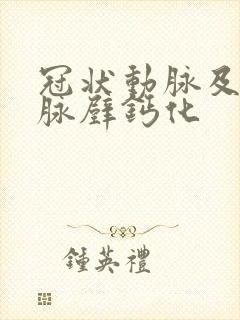 冠状动脉及主动脉壁钙化