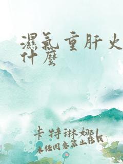 湿气重肝火旺喝什么