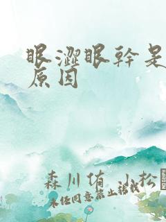 眼涩眼干是什么原因