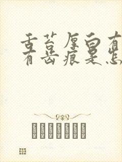 舌苔厚白有裂纹有齿痕是怎么回事