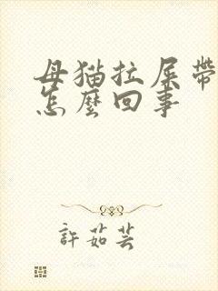 母猫拉屎带血是怎么回事