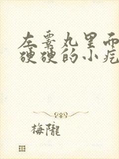 左睾丸里面有个硬硬的小疙瘩是怎么回事