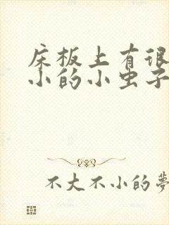 床板上有很多微小的小虫子怎么消灭