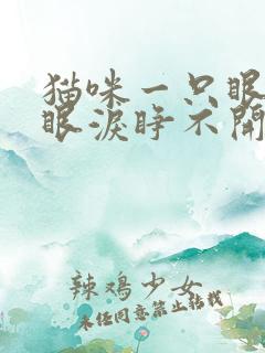 猫咪一只眼睛流眼泪睁不开