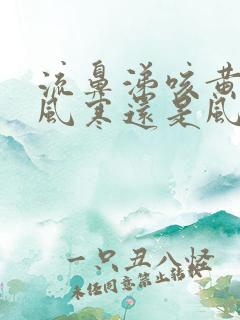 流鼻涕咳黄痰是风寒还是风热