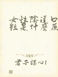 女性阴道口小颗粒是什么原因