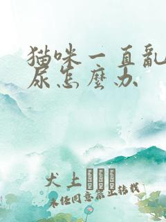 猫咪一直乱拉乱尿怎么办