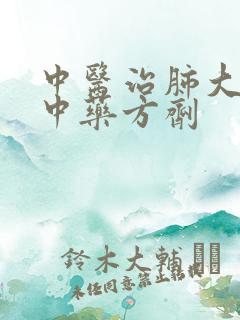 中医治肺大泡化中药方剂