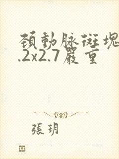 颈动脉斑块10.2x2.7严重