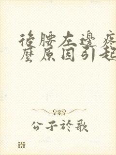 后腰左边疼是什么原因引起的