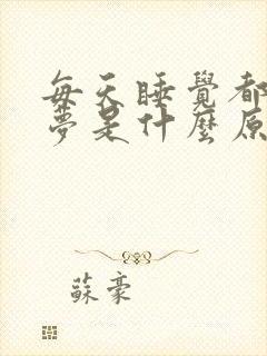 每天睡觉都要做梦是什么原因