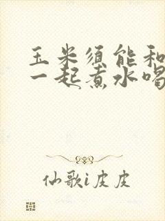 玉米须能和山药一起煮水喝吗