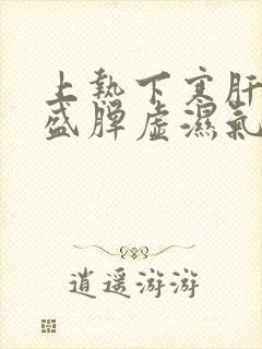 上热下寒肝火旺盛脾虚湿气重吃什么中成药