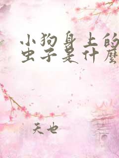 小狗身上的红色虫子是什么虫