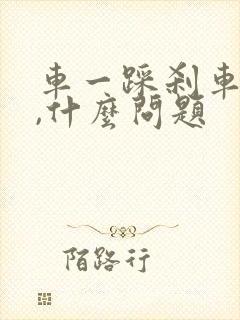 车一踩刹车就抖,什么问题