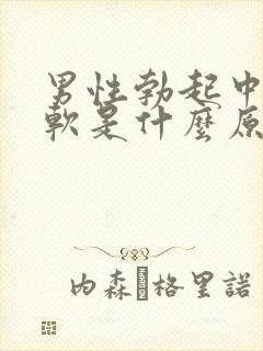 男性勃起中途疲软是什么原因引起的?