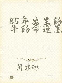85年出生的属牛的命运怎么样