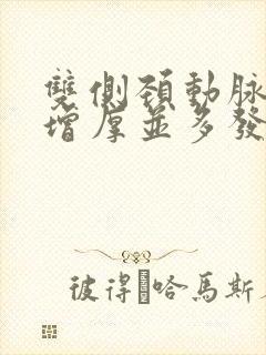 双侧颈动脉中膜增厚并多发斑块形成