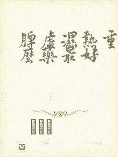 脾虚湿热重吃什么药最好