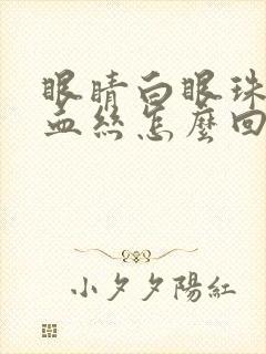 眼睛白眼珠有红血丝怎么回事