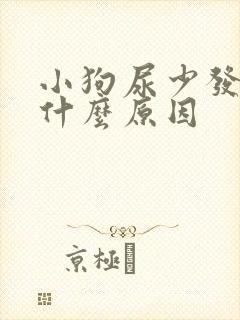 小狗尿少发黄是什么原因