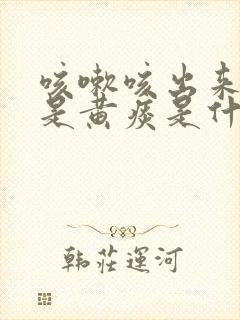 咳嗽咳出来的都是黄痰是什么原因