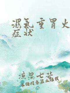 湿气重胃火旺的症状