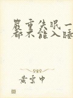 严重失眠一分钟都不能入睡