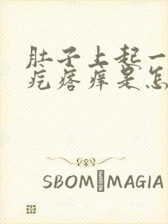 肚子上起一圈红疙瘩痒是怎么回事