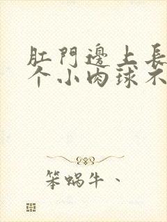 肛门边上长了一个小肉球不痛不痒