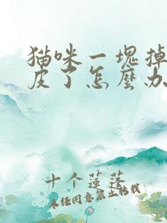 猫咪一块掉毛露皮了怎么办