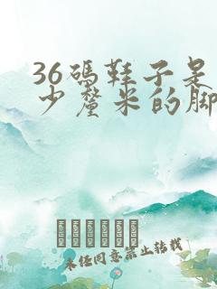 36码鞋子是多少厘米的脚长