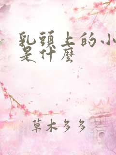 乳头上的小疙瘩是什么