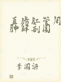 直肠肛管周围脓肿解剖图